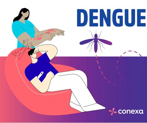 imagens site_post_dengue